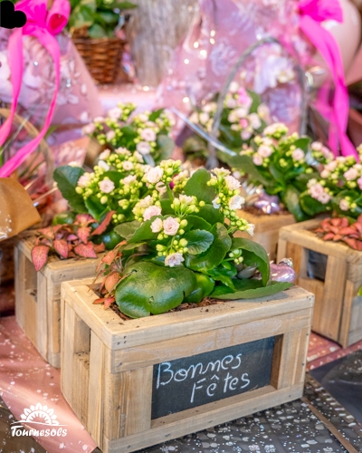 Montages floraux avec fleurs blanches et roses dans des pots en bois marqués 'Bonnes Fêtes'.